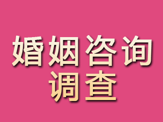 富民婚姻咨询调查