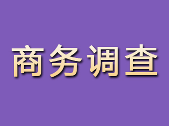 富民商务调查